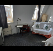 Wohnen auf Zeit in Dresden 799,00 €