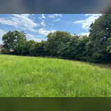 Foto - Grundstück zu verkaufen in Biburg 373.500,00 € 1494 m²