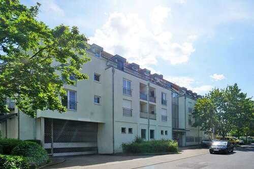 Foto - Wohnung zum Mieten in Dresden 370,00 € 42.97 m²