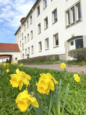 Foto - Wohnung zum Mieten in Aue-Bad Schlema 389,52 € 64.92 m²