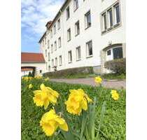 Wohnung zum Mieten in Aue-Bad Schlema 389,52 € 64.92 m²