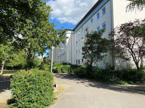 Foto - Wohnung zum Kaufen in Limburgerhof 199.000,00 € 76 m²