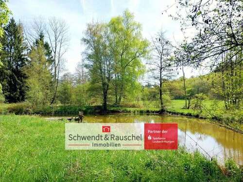 Foto - Grundstück zu verkaufen in Laubach 79.000,00 € 9673 m²