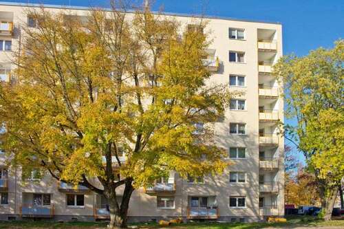 Foto - Wohnung zum Mieten in Essen 521,00 € 64.63 m²