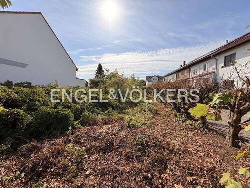 Foto - Grundstück zu verkaufen in Limburgerhof 410.000,00 € 593 m²
