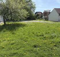 Grundstück zu verkaufen in Horn-Bad Meinberg 120.000,00 € 816 m²