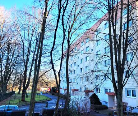Foto - Wohnung zum Mieten in Chemnitz 290,00 € 56.39 m²