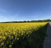 Büro in Sulzbach 975.000,00 € 330 m²