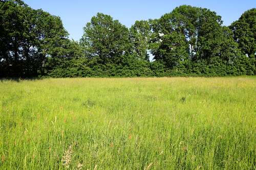 Foto - Grundstück zu verkaufen in Goldkronach 145.000,00 € 880 m²