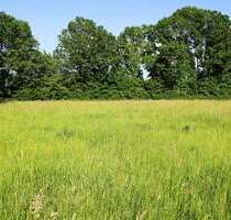 Grundstück zu verkaufen in Goldkronach 145.000,00 € 880 m²