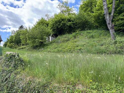 Foto - Grundstück zu verkaufen in Detmold Berlebeck 88.000,00 € 678 m²