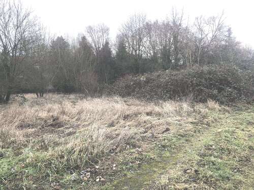 Foto - Grundstück zu verkaufen in Neckarbischofsheim 149.000,00 € 614 m²