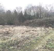 Grundstück zu verkaufen in Neckarbischofsheim 149.000,00 € 614 m²