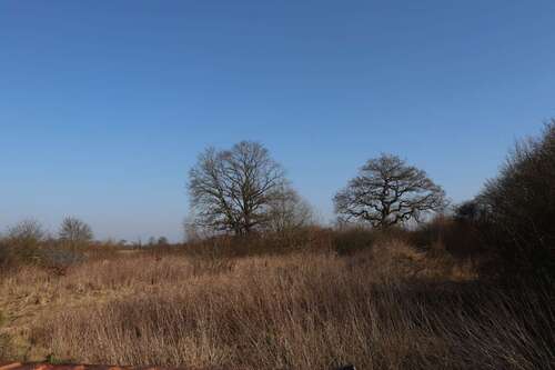 Foto - Grundstück in Schleswig 350.000,00 € 3500 m²