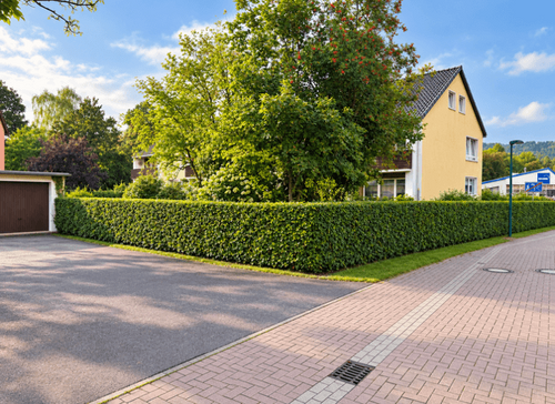 Foto - Wohnung zum Kaufen in Hameln 210.000,00 € 141 m²