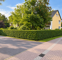 Wohnung zum Kaufen in Hameln 210.000,00 € 141 m² Wohnung zum Kaufen in Hameln 210.000,00 € 141 m²