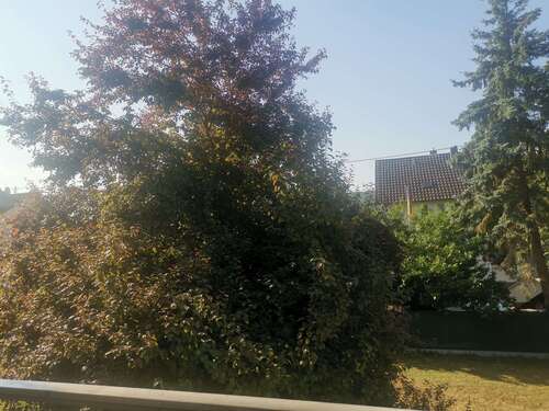 Foto - Wohnung zum Mieten in Bad Sobernheim 550,00 € 65 m²