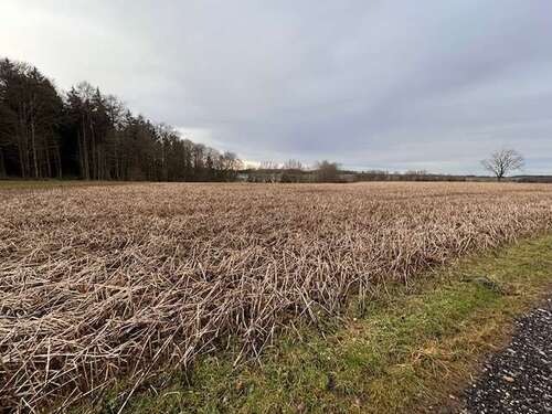 Foto - Grundstück in Buch-Christertshofen 247.000,00 € 30478 m²