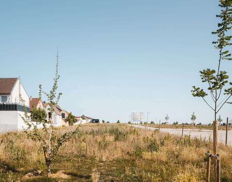 Foto - Grundstück zu verkaufen in Deidesheim 503.000,00 € 400 m²