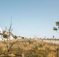 Grundstück zu verkaufen in Deidesheim 503.000,00 € 400 m²