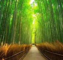 Grundstück zu verkaufen in Karlsruhe 930.000,00 € 1100 m²