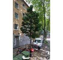 Wohnung zum Kaufen in Oberhausen 75.000,00 € 55 m²