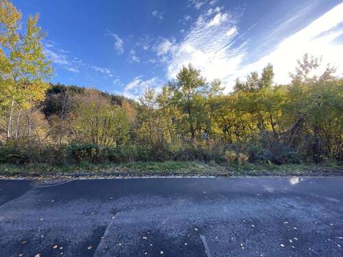 Foto - Grundstück zu verkaufen in Flörsbachtal 49.000,00 € 781 m²