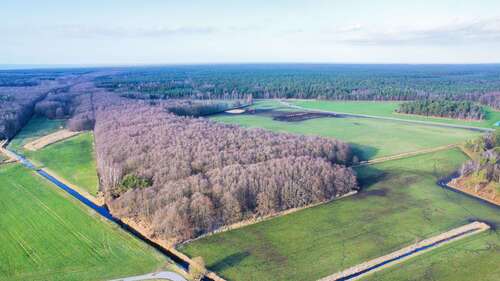 Foto - Grundstück zu verkaufen in Born a. Darß 27.870,00 € 9290 m²