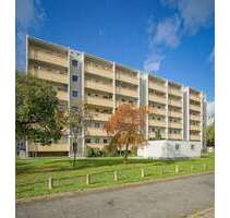 Wohnung zum Mieten in Dresden 461,66 € 64.12 m²