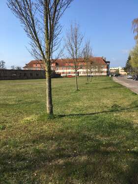 Foto - Grundstück zu verkaufen in Burg 800.000,00 € 4100 m²