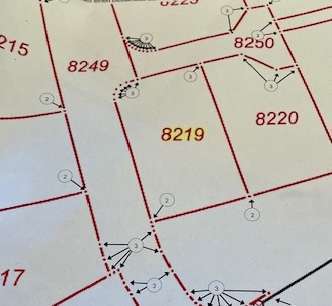 Foto - Grundstück zu verkaufen in Wachenheim 395.000,00 € 468 m²