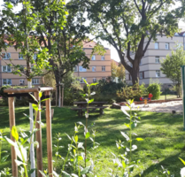 Wohnung zum Kaufen in Dresden 295.000,00 € 101.15 m²