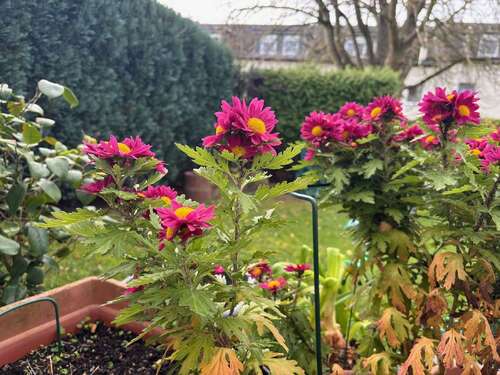 Foto - Wohnung zum Kaufen in Meckenheim 174.000,00 € 58 m²