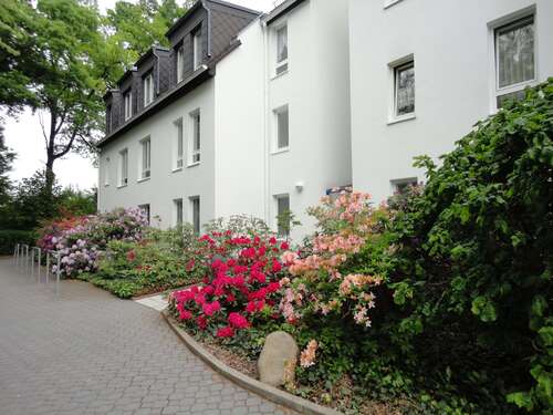 Foto - Wohnung zum Mieten in Zwickau 560,00 € 87 m²