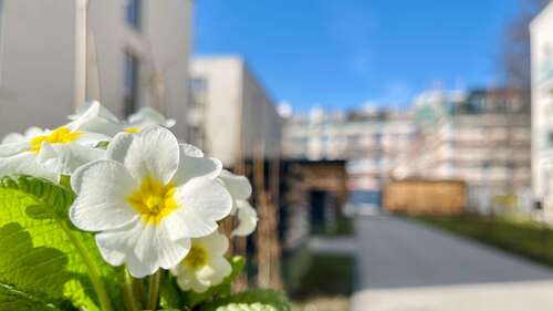 Foto - Wohnung zum Mieten in Leipzig 873,50 € 50.53 m²