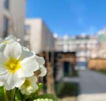 Wohnung zum Mieten in Leipzig 873,50 € 50.53 m²