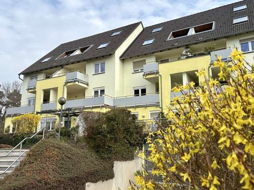 Foto - Wohnung zum Mieten in Chemnitz 250,00 € 35.33 m²