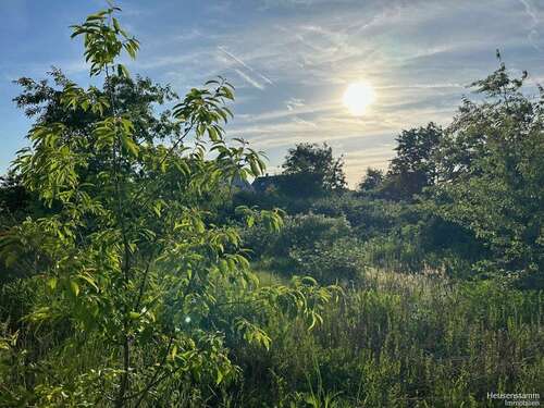 Foto - Grundstück zu verkaufen in Heusenstamm 369.000,00 € 708 m²