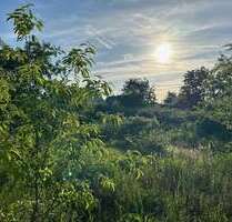 Grundstück zu verkaufen in Heusenstamm 369.000,00 € 708 m²