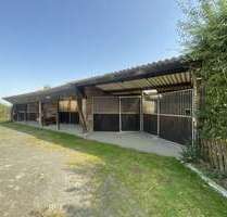 Haus zum Kaufen in Schleiden 435.000,00 € 140 m²