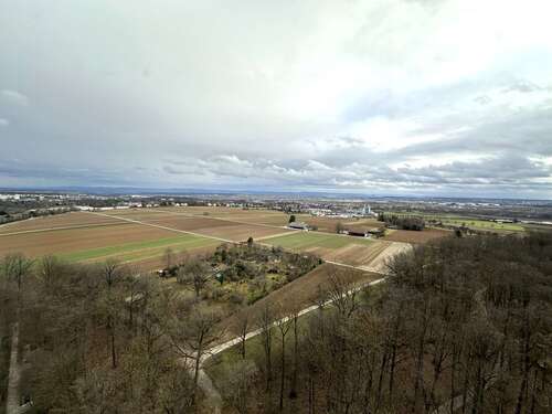 Foto - Wohnung zum Mieten in Stuttgart 900,00 € 50 m²