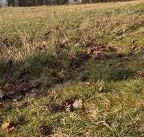 Grundstück zu verkaufen in Kulmbach 269.000,00 € 1257 m²