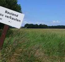 Grundstück in Osterwieck 175.000,00 € 20000 m²