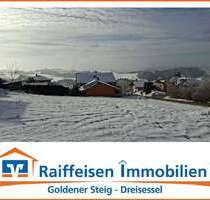 Grundstück zu verkaufen in Perlesreut 72.500,00 € 716 m²