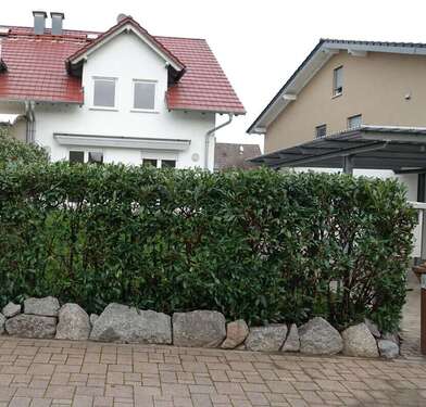 Foto - Haus zum Mieten in Einhausen 2.180,00 € 174 m²