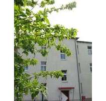 Wohnung zum Mieten in Schkeuditz 427,50 € 47.5 m²