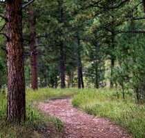 Grundstück in Westerkappeln 39.900,00 € 8054 m²