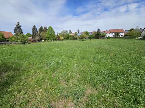 Foto - Grundstück zu verkaufen in Daiting 99.000,00 € 833 m²