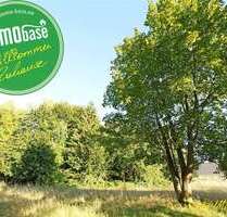 Grundstück zu verkaufen in Hainichen 85.360,00 € 776 m²