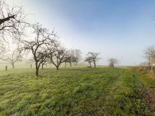 Foto - Grundstück zu verkaufen in Hauzenberg 70.000,00 € 750 m²